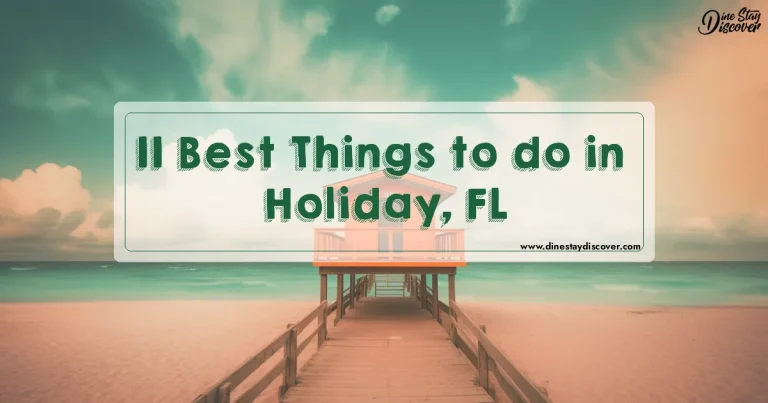 11 Best Things to do in Holiday, FL
