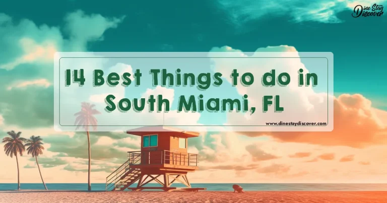 14 Best Things to do in South Miami, FL