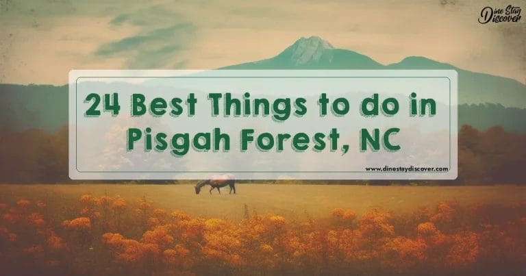 24 Best Things to do in Pisgah Forest, NC