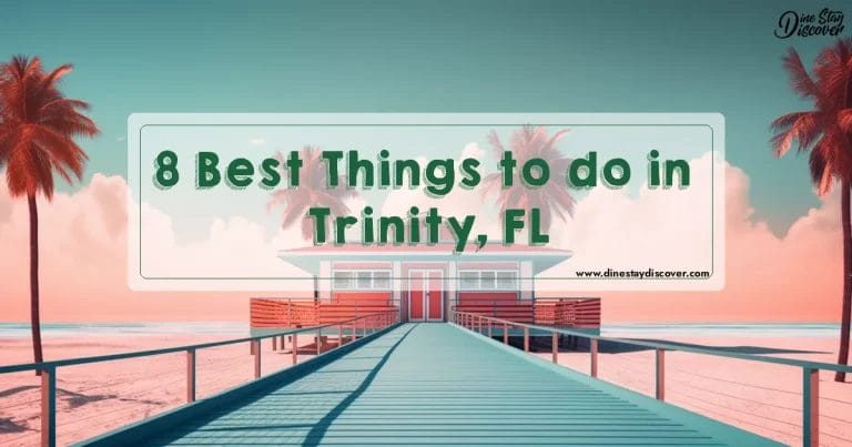 8 Best Things to do in Trinity, FL